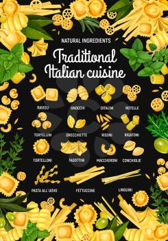 Italian pasta restaurant menu. Vector traditional Italy cuisine pasta food ravioli, gnocchi or ditalini and rotelle, cooking spices and herbs with conchiglie, tortellini or tortelloni and fettuccine