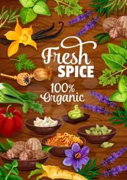 Spices and herbs or organic seasonings poster. Vector design of wasabi, garlic or nutmeg and poppy seed, vanilla with lavender, horseradish and pepper or spinach and parsley on wooden background