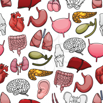 Human organs, joints and bones pattern. Vector seamless design of medical anatomy brain, heart or lungs and liver with pelvis, kidney or testicles and heart or bladder with ear