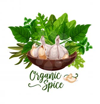 Organic spices poster of cooking herbs and herbal ingredients. Vector design of garlic, celery or parsley and dill, spinach or sage or tarragon and bay leaf in kitchen bowl