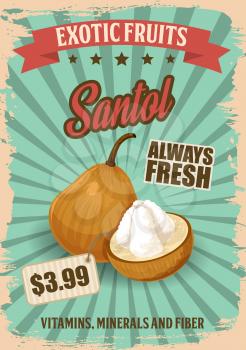 Santol exotic fruit retro poster for tropical food and price. Vegetarian product vintage brochure for market or grocery shop. Food from hot foreign country leaflet, healthy proper nutrition vector