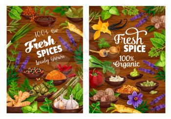 Spices vector design with herbs, vegetable seasonings and condiments frame. Pepper, parsley and garlic, vanilla, cinnamon and nutmeg, ginger, basil and rosemary, anise, thyme, saffron, wood background