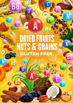 Nuts, dried fruits and grains rich of vitamins. Vector date, peanut and walnut, fig, raisins and almond, hazelnut, pistachio and wheat, rice, apricot and prune, buckwheat, coconut and banana