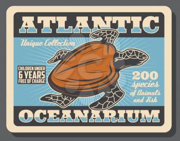 Sea turtle, underwater ocean animal retro poster of Atlantic Oceanarium promo design. Pacific green turtle with brown carapace swimming in blue water of aquarium