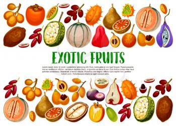 Exotic fruits, tropical berries branches vector banner with border of vegetarian food. Fig, cantaloupe and kiwano, persimmon, granadilla and akebia, marang, bael and star apple, chambakka, jackfruit