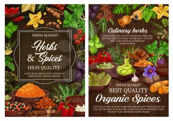 Spices and culinary herbs, vegetarian seasoning and natural condiments. Rosemary, mint and basil, vanilla, cinnamon and chilli pepper, ginger, cardamom and bay leaf, thyme, star anise, nutmeg, saffron