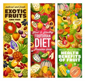Exotic fruits vitamins and GMO free tropical berries vector design of fruitarian diet. Cantaloupe, dates and pomelo, jackfruit, soursop and kiwano, tangerine, cherimoya and marang, akebia and quince