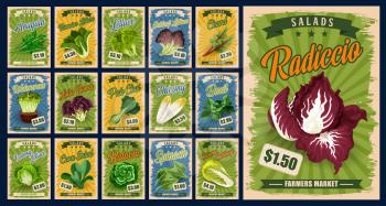 Salad greens and leaf vegetables vector design with organic farm food. Lettuce, spinach and chinese cabbage, basil, arugula and bok choy, chard, radicchio and corn salad, watercress and batavia