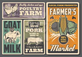 Farm animals and vegetables retro posters of agriculture, milk, poultry and crop farming vector design. Pig, cow and rooster, chicken, goat and tractor, field, cabbage, corn and sunflower