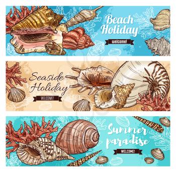 Beach holiday, marine shells and seaweeds, seaside holiday paradise. Seashell and mollusk, clam, snail, chiton and tusk shell. Scallop and pear whelk sea beach mollusk, corals and cockle, turret shell