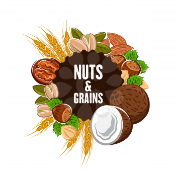 Nuts and grains round frame with kernels and cereals. Vector coconut and peanut, ears of wheat and almond, walnut. Pistachio and hazelnut, hop leaves and greenery, food snacks, vegetarian nutrition