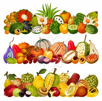 Exotic fruits harvest, tropical farm agriculture pandan, juicy citrus bergamot and akebia, Vector tropic cantaloupe melon, cashew apple with cupuassu, cherimoya and jambolan tropical fruits