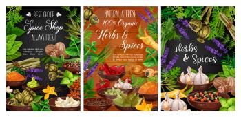 Cooking spices, seasonings and herbs farm shop posters. Vector organic garlic, pepper and basil, celery and savory herbs, spinach and arugula, herbal condiments and natural culinary ingredients