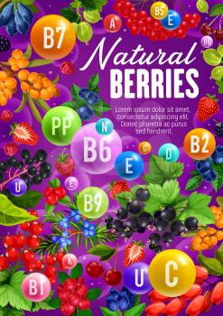 Berries with natural organic vitamins and minerals. Vector healthy berry fruits, sea buckthorn or honeysuckle and cowberry or foxberry, viburnum and juniper, super food rowanberry and cherry berries