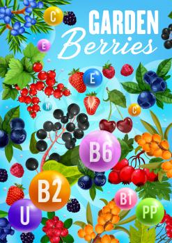 Berries and vitamins, healthy natural organic fruits food. Vector garden cherry, strawberry and raspberry, forest blueberry, rose hip fruits and sea buckthorn, super food black and red currant berry
