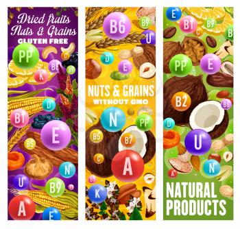 Gluten free dried fruits, grains and nuts with complex of A, U, N, E vitamins. Vector natural products without GMO, organic food. Wheat, hazelnut and coconut, walnut and fig, almond dietary nutrition