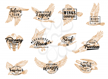 Falcon and eagle bird, isolated sketch icons. Vector hunting club symbol, american legend, falconry hawk skyhunter. Emblem with flying falcon, symbol of freedom, wild soul, winged king of sky