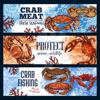 Crab sea animal, seafood and endangered species. Vector marine shellfish, ocean crustacean with pincers and claws, mediterranean cuisine. Protect extincting lobsters and fishing on crawfish advert