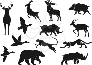 Wild animals and birds isolated vector silhouettes. Deer with antlers and cheetah, boar and mountain goat, panther and grizzly bear, rhinoceros and elk, flying duck birds. Hunting sport animals