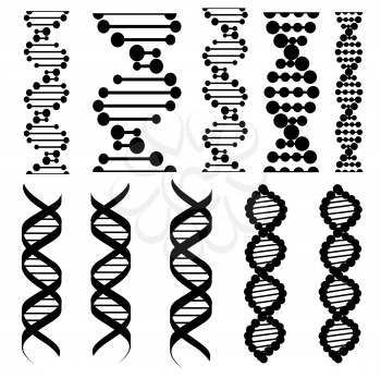 DNA molecules isolated silhouettes. Vector twisted spiral or helical structure of chromosome cells, human genes. Molecular chain genome, DNA helixis, genetic code