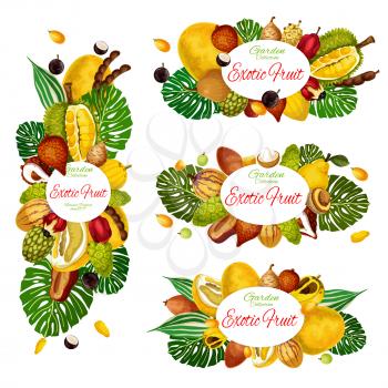 Exotic fruits and berries vector design of natural food and tropical palm leaves. Asian pomelo, jackfruit and tamarind, jabuticaba, santol and salak, ackee, quince and mulberry, kumquat and sapodilla