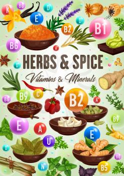 Vitamins and minerals of green herbs and spices, healthy food vector design. Vanilla, chilli pepper and rosemary, thyme, parsley and ginger, garlic, anise star and mint, bay leaves, cardamom, poppy