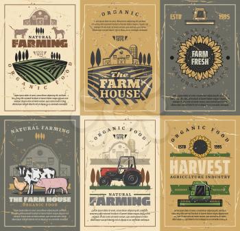Agriculture and farming vector design with farm field, tractor and barn, cow animals, vegetables and sunflower, chicken, rooster and horse. Meat, milk and poultry farm, grow crops themes