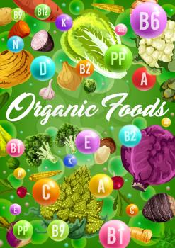 Vegetables and vitamins, organic vegetarian and vegan food. Vector natural healthy veggies tomato, carrot and cucumber, corn and green onion, cauliflower and broccoli cabbages, potato and garlic