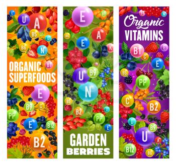 Berries organic superfood, healthy vitamins in garden berries. Vector super food diet nutrition, natural garden cherry, strawberry and raspberry, blueberry fruits and juniper, black and red currant