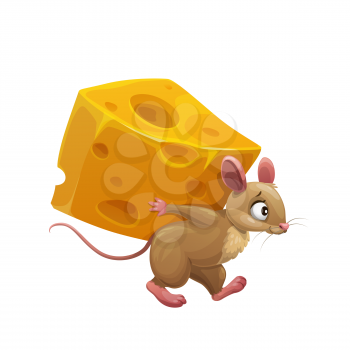 Cartoon mouse and large piece of cheese, cute vector rat character carry huge slice of cheese with holes on back isolated on white background. Rodent funny animal or pet, fairy tale book personage