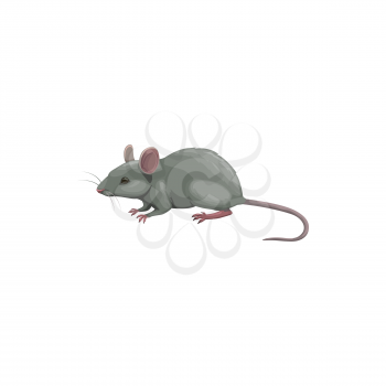 Mouse icon, pest control, rodents extermination and deratization service, isolated vector. Mouse rodent and vermin animal, domestic and agriculture sanitary disinfestation, pest control service symbol
