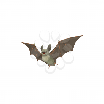 Bat icon, pest control extermination and disinfection service, vector. Domestic sanitary bat disinfection and parasite animals disinfestation and pest control