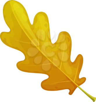 Autumn oak leaf vector icon, cartoon fallen foliage, dry tree leaf of yellow and brown color, design element, isolated object on white background, sign