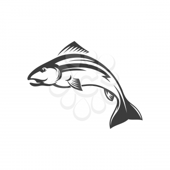 Fish atlantic salmon isolated monochrome icon. Vector char grayling whitefish fishing sport trophy. Trout sea food, fishery mascot. Underwater animal, salmon freshwater fish, seafood, omega resource