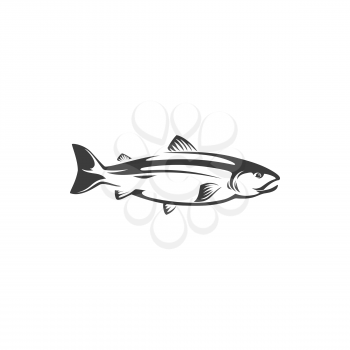 Herring or sea humpback, trout fish fishery mascot, freshwater animal isolated monochrome icon. Vector fish chum or pink salmon, sockeye seafood. Fishing sport trophy underwater animal with flippers