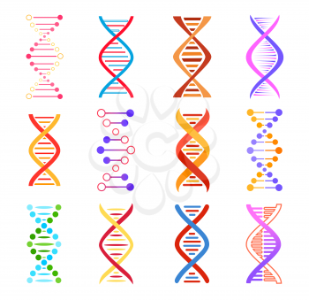 Dna helix icons, genetic medicine vector signs. Spiral molecule structure, science and scientific research, Colorful Dna design elements, human gene code evolution symbols isolated on white background