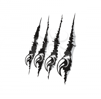 Bird of prey claw marks scratches vector background. Predator animal, dangerous wild beast or mysterious monster breaking through sheet of white paper, scratching and shredding wall with sharp claws