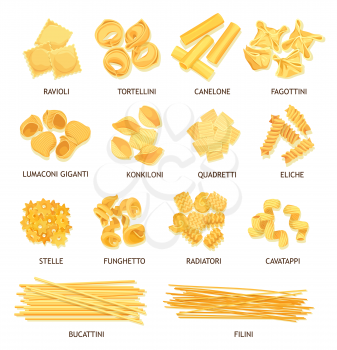 Pasta, macaroni and spaghetti of Italian food vector design. Fusilli, tortellini and ravioli, cannelloni, noodle and stelline, conchiglie, dumplings and bucatini, lasagna, filini and funghetto shapes
