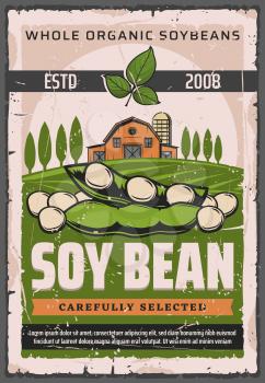 Soy bean pods of soya plant on green farm field with barn and trees vector design. Soybean legume seeds or grains, vegetarian source of protein, agriculture and farm market vintage poster