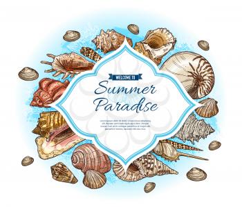 Summer paradise vector card with seashell and marine coral sketches. Tropical ocean beach sea shells, mollusk and conches, snails, clams and scallops frame. Travel, vacation and exotic resort themes