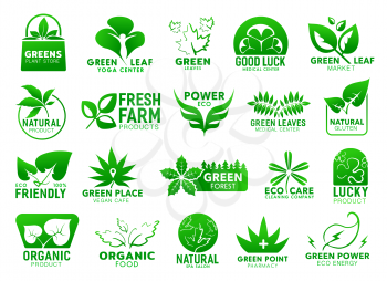 Green leaf, eco plant branch vector icon of ecology and environment corporate identity design. Natural bio product symbols of green energy, medicine and herbal pharmacy, organic food market, spa salon