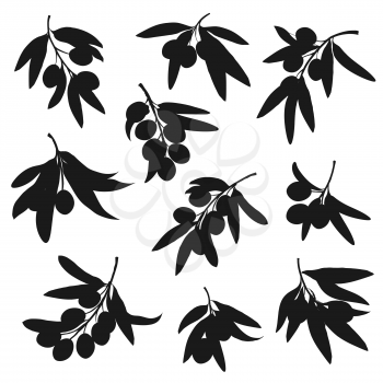 Olive tree branch black silhouettes with vector olive fruits and leaves. Oil food ingredients of Greece and Italy, mediterranean cuisine vegetable condiment and salad dressing design