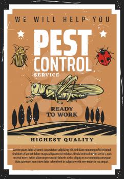 Agriculture pest control vector design of insects and plants. Farm field and bugs, colorado potato beetle, locust or grasshopper and ladybug. Crop protection with chemical pesticides and herbicides