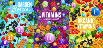 Berries and vitamins, organic superfood healthy nutrition. Vector garden cherry, strawberry and raspberry, blueberry or cranberry fruits, black and red currant, barberry