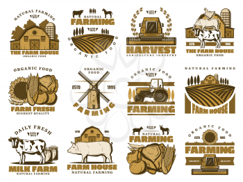 Agriculture farming icons. Vector farm and vegetables harvest, beef and pork meat butchery, pig and cow, wheat barn and farmer mill on field, chicken and horse