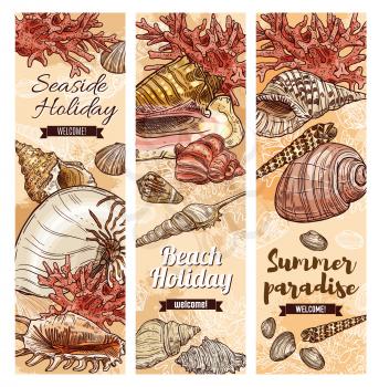 Seashells sketch banners, summer holiday and sea travel. Vector welcome to summer paradise ribbons, sea shells and corals on beach sand, seaside holiday resort or spa center