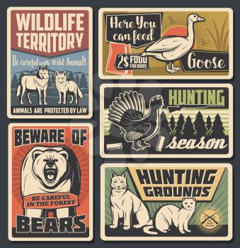 Hunting open season, wild animals natural park and beware of bear warning vintage posters. Vector wildlife wolf and fox territory, forest bobcat lynx and ermine hunt area, wildfowl goose feeding sign