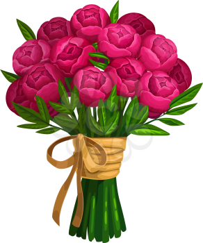 Bouquet of peonies or roses isolated pink flowers. Vector luxury bunch of flowering plants
