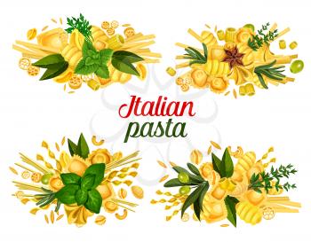 Italian cuisine pasta and cooking spice ingredients. Vector traditional Italian homemade pasta fusilli, fettuccine or linguine, conchiglie or gnocchi with penne, basil and olives or rosemary and sage