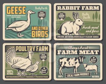 Farm food products, cattle farm meat and fowl food production. Vector vintage farming butchery posters of local domestic ow, turkey and partridge poultry, farm goose and rabbit